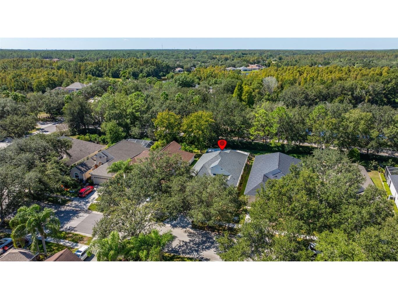 17910 Timber View Street Tampa FL 33647 TB8394166 image39