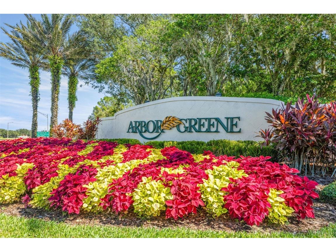 17910 Timber View Street Tampa FL 33647 TB8394166 image47