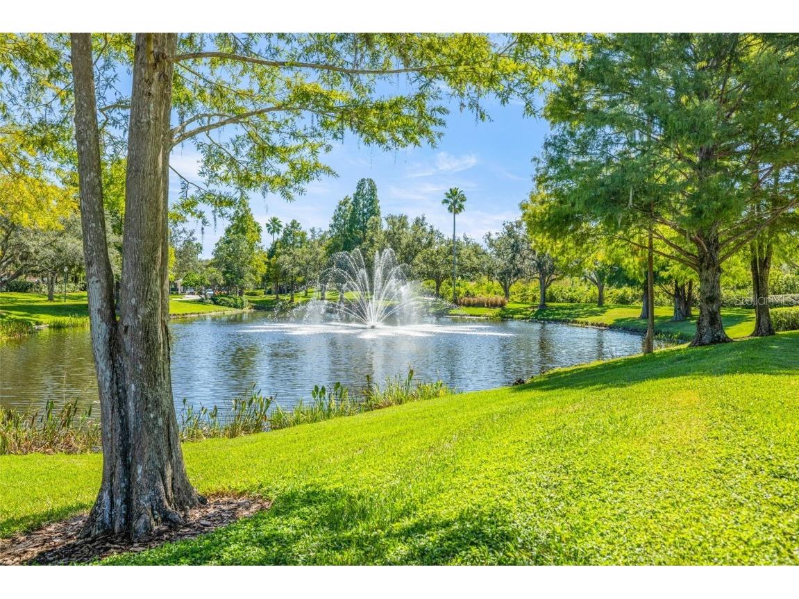 17910 Timber View Street Tampa FL 33647 TB8394166 image49