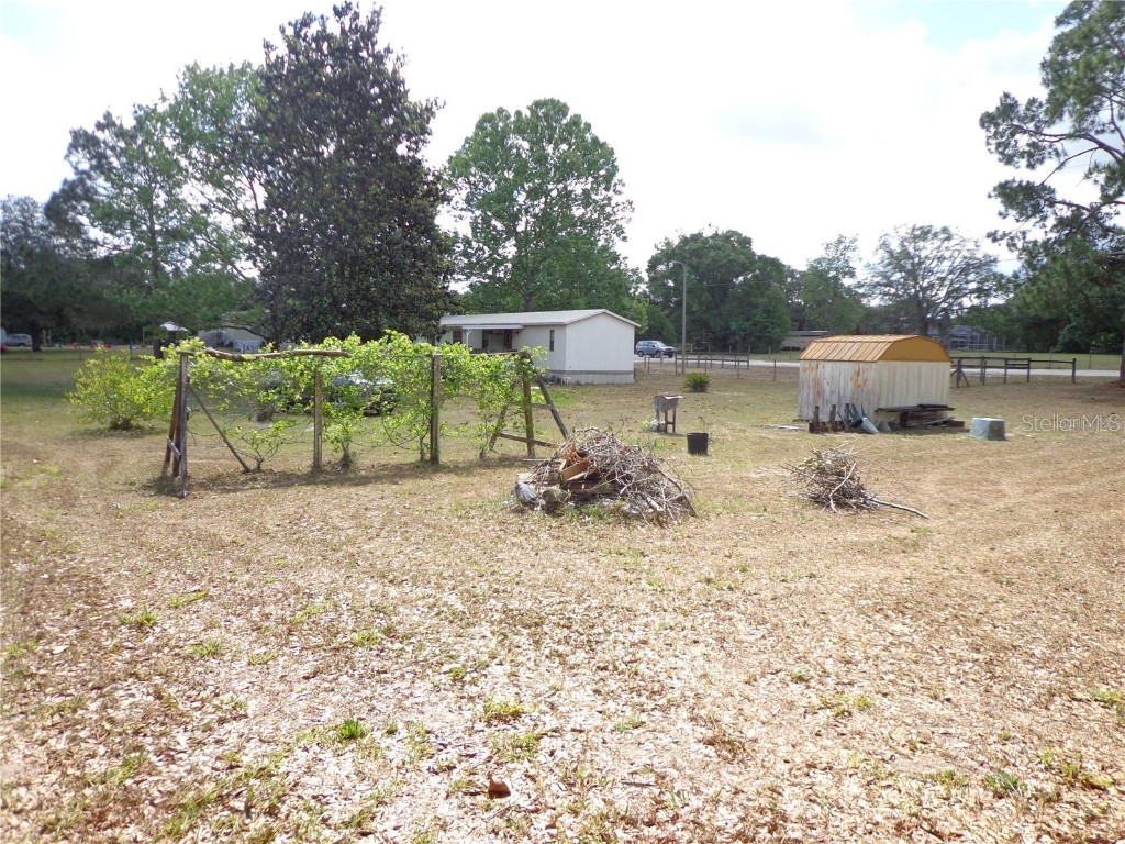 17911 Orange Drive Spring Hill FL 34610 W7879546 image11