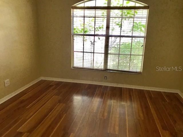 17911 Timber View Street Tampa FL 33647 TB8504531 image21