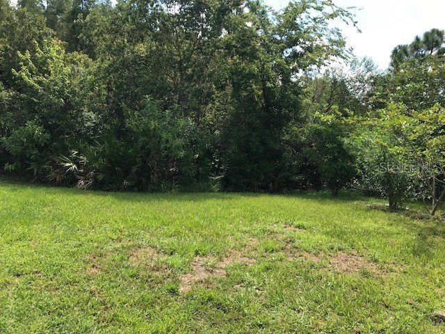 17911 Timber View Street Tampa FL 33647 TB8504531 image24
