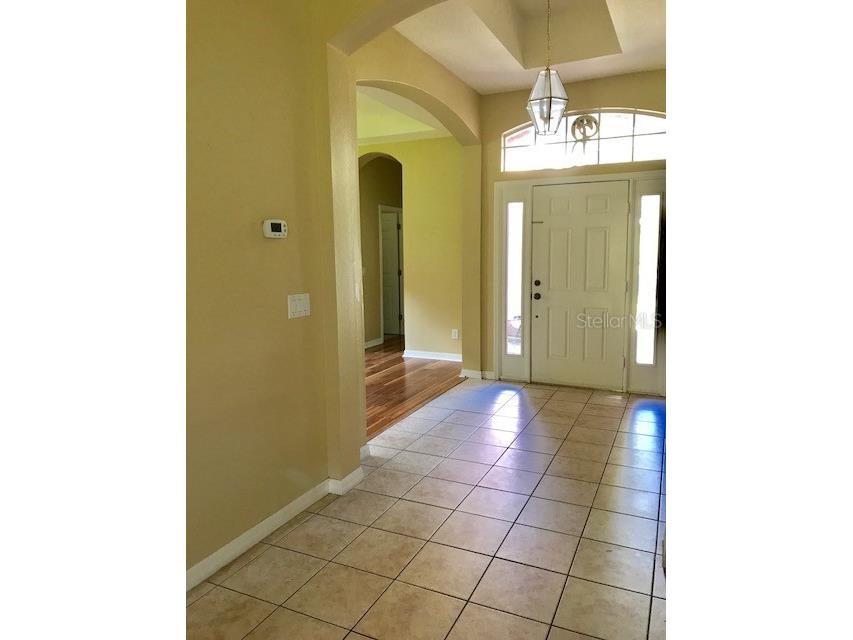 17911 Timber View Street Tampa FL 33647 TB8504531 image3