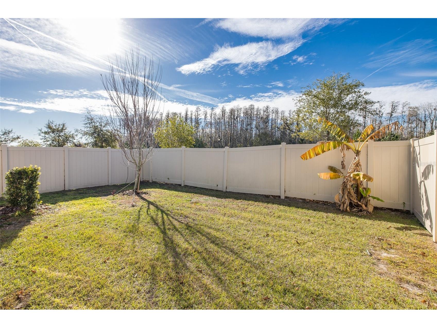 17911 Turning Leaf Circle Land O Lakes FL 34638 W7882225 image45