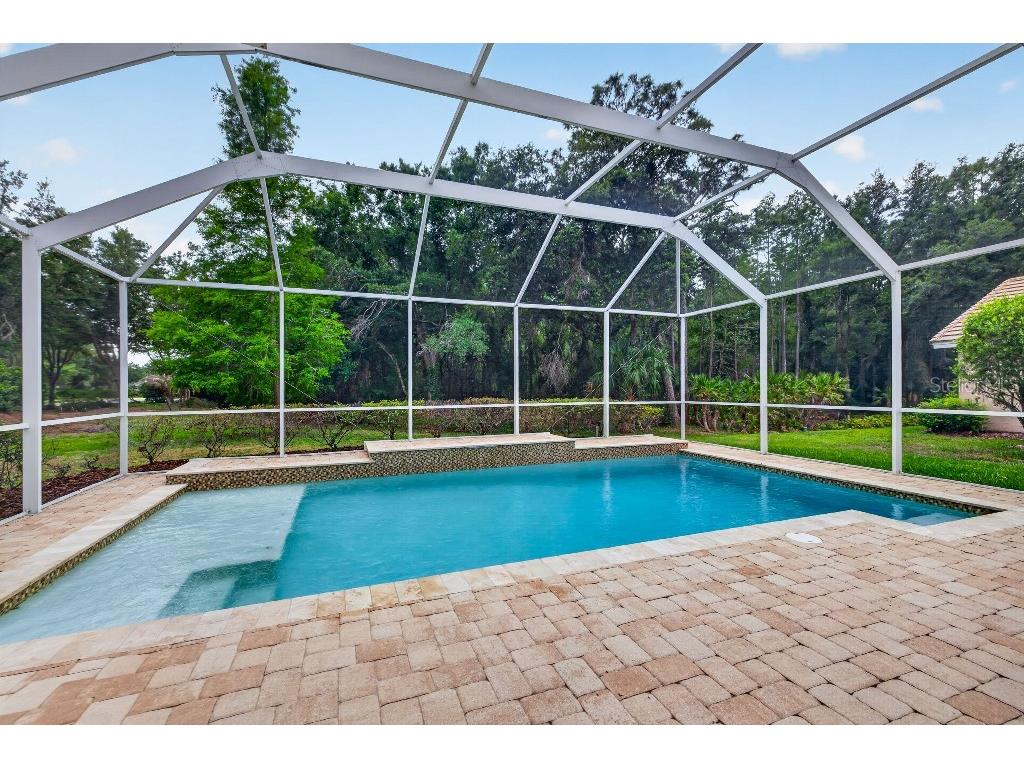 17912 Arbor Haven Drive Tampa FL 33647 TB8510759 image22