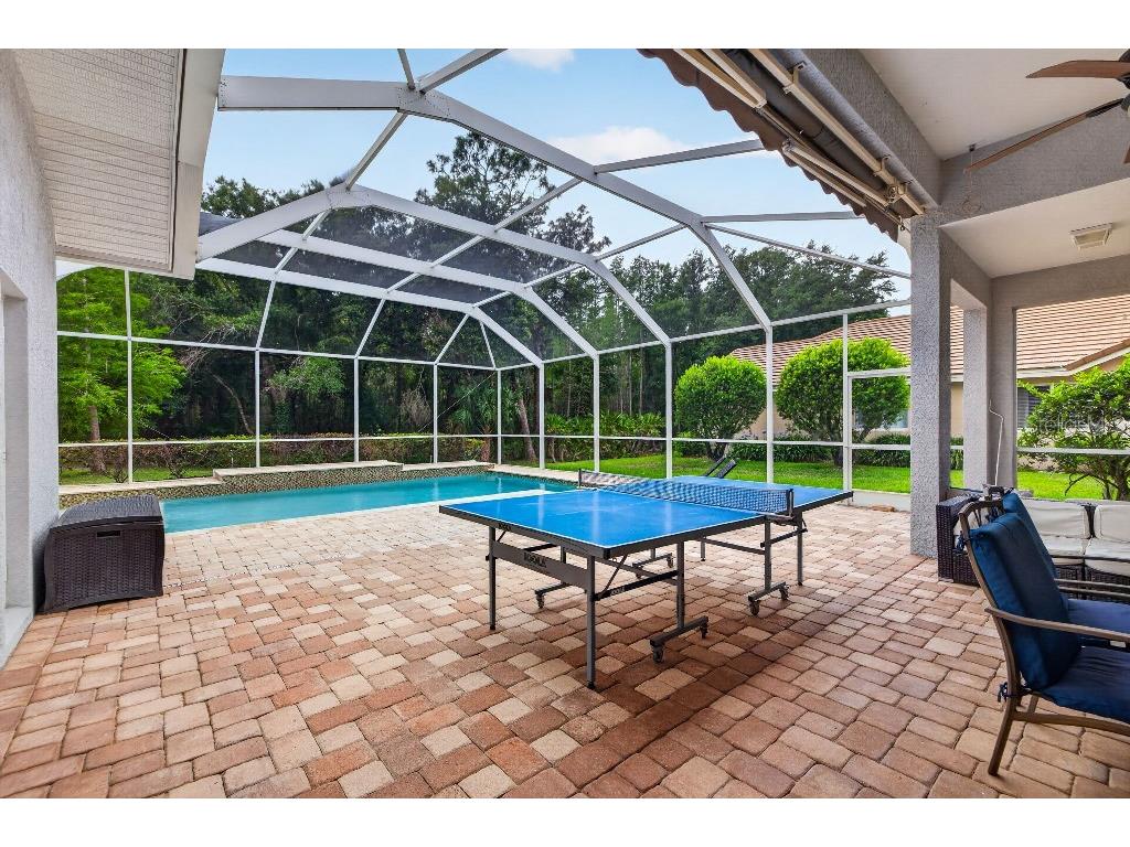 17912 Arbor Haven Drive Tampa FL 33647 TB8510759 image23
