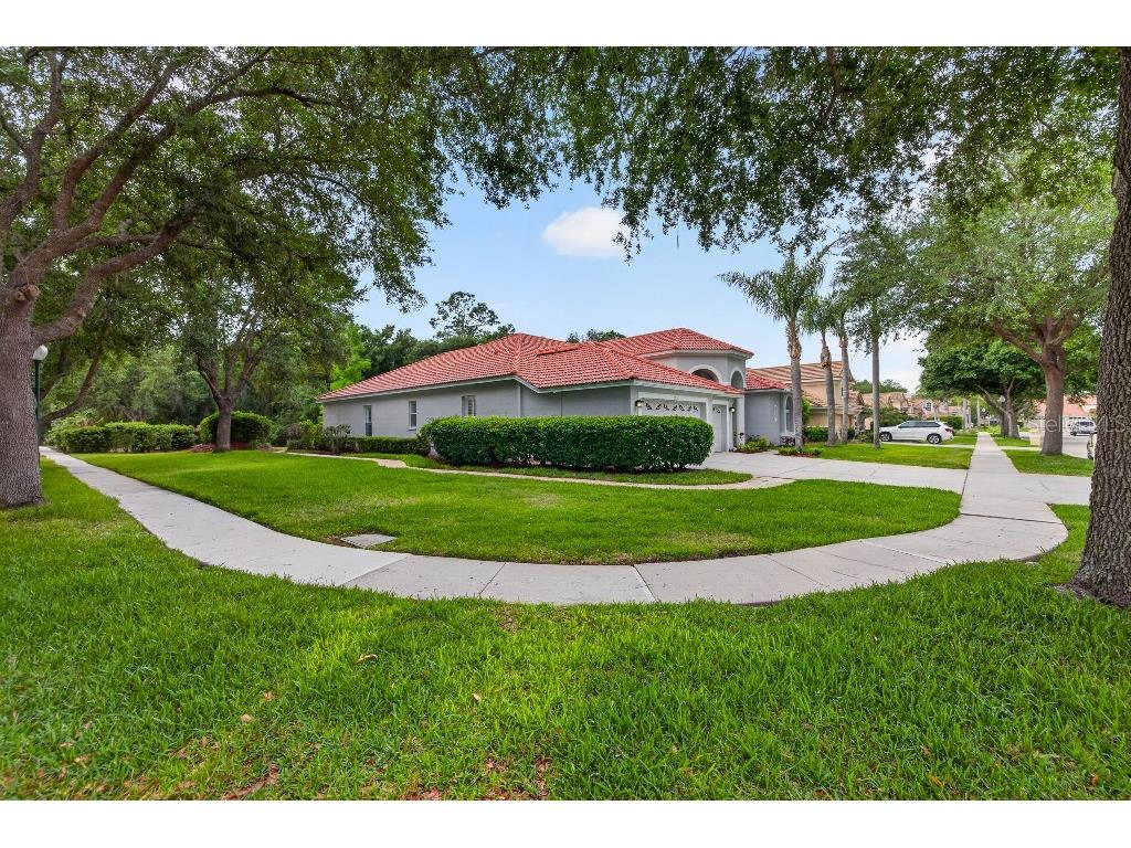17912 Arbor Haven Drive Tampa FL 33647 TB8510759 image26