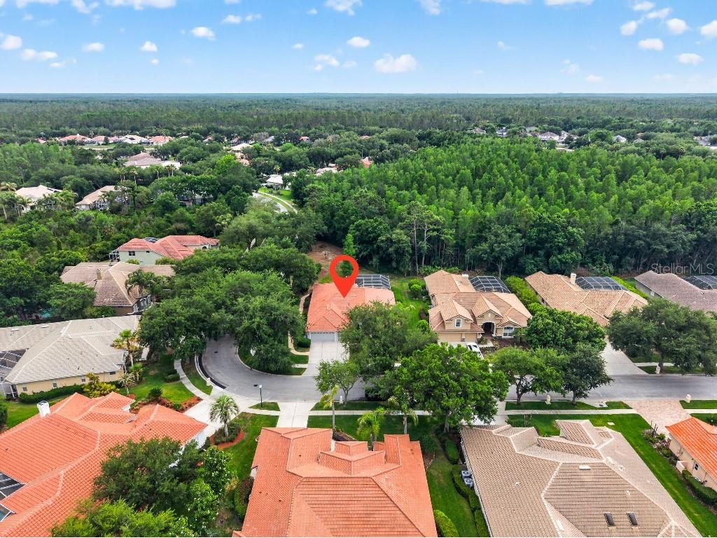 17912 Arbor Haven Drive Tampa FL 33647 TB8510759 image27