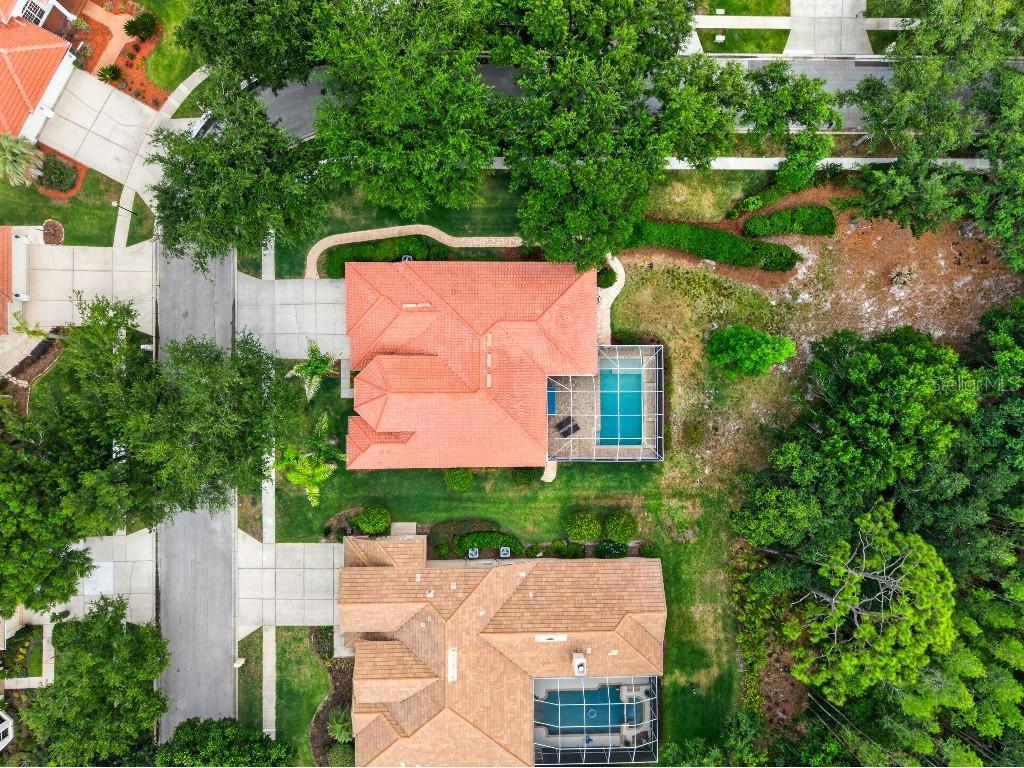 17912 Arbor Haven Drive Tampa FL 33647 TB8510759 image28
