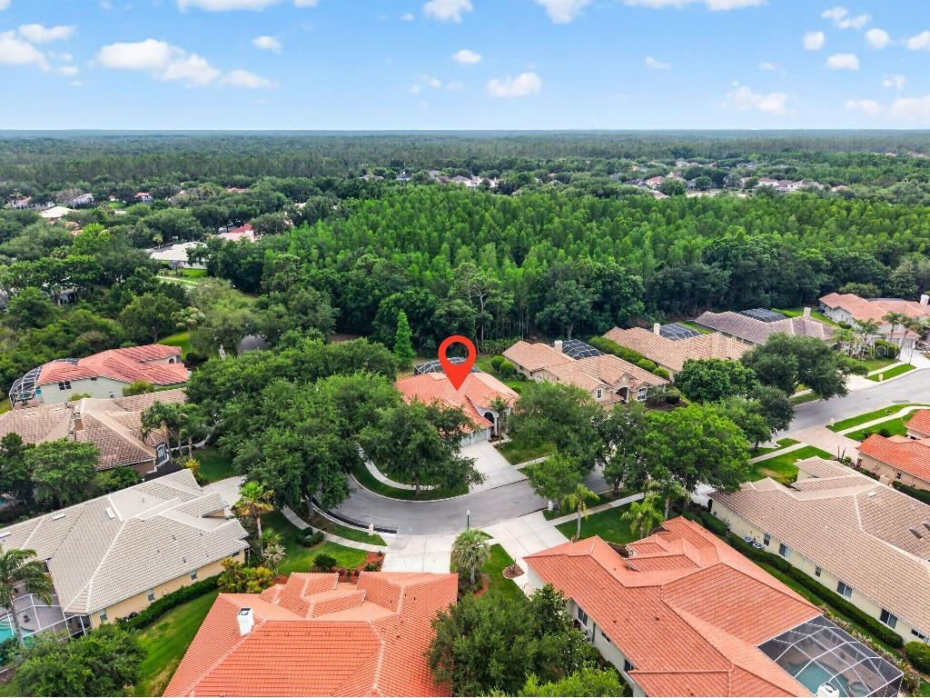 17912 Arbor Haven Drive Tampa FL 33647 TB8510759 image29