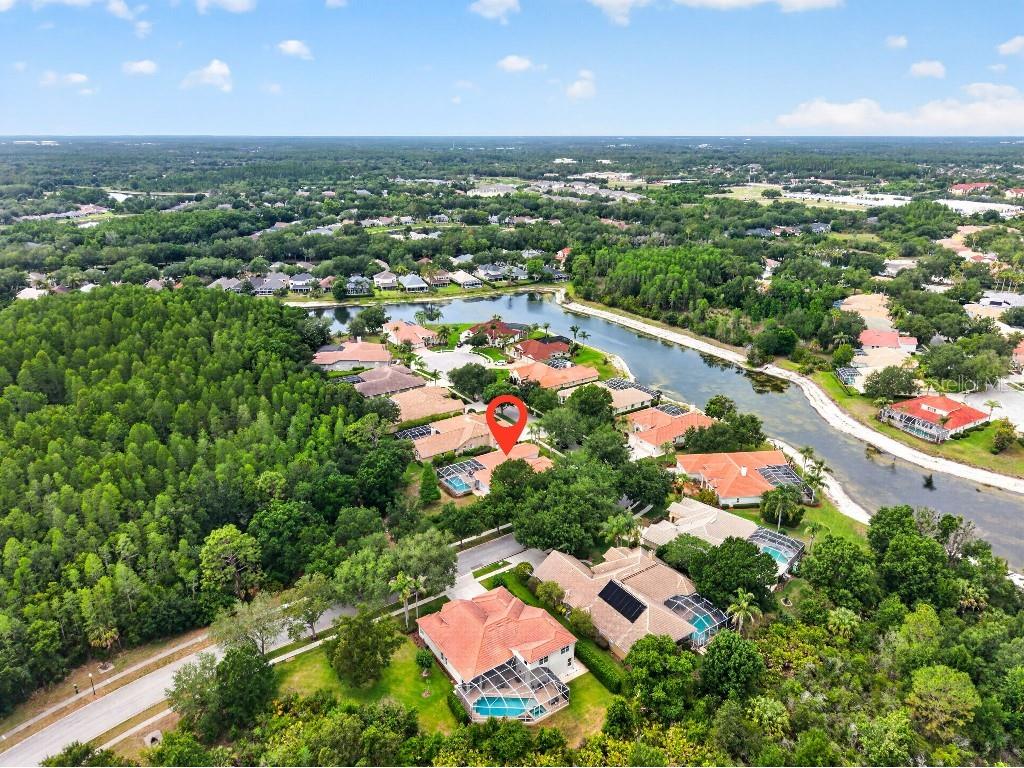 17912 Arbor Haven Drive Tampa FL 33647 TB8510759 image30