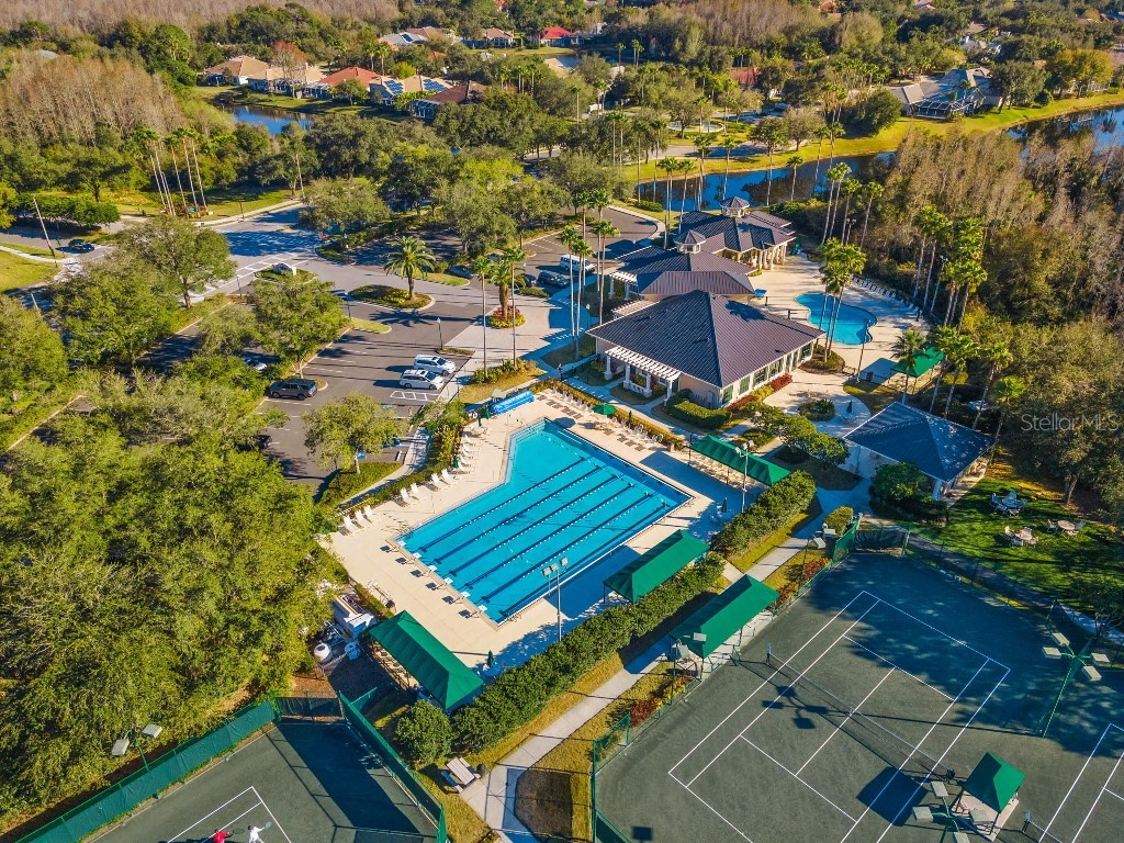 17912 Arbor Haven Drive Tampa FL 33647 TB8510759 image33