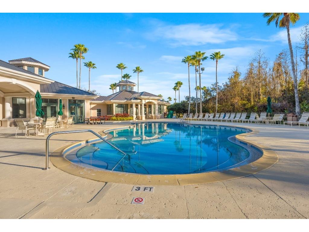 17912 Arbor Haven Drive Tampa FL 33647 TB8510759 image35