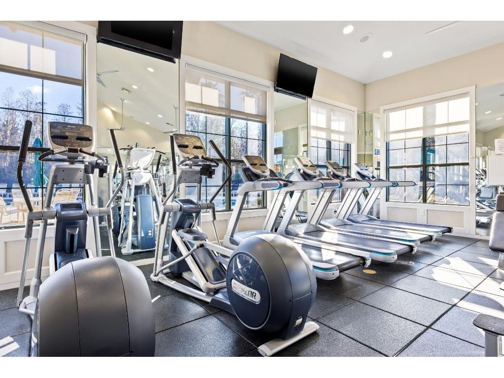 17912 Arbor Haven Drive Tampa FL 33647 TB8510759 image37