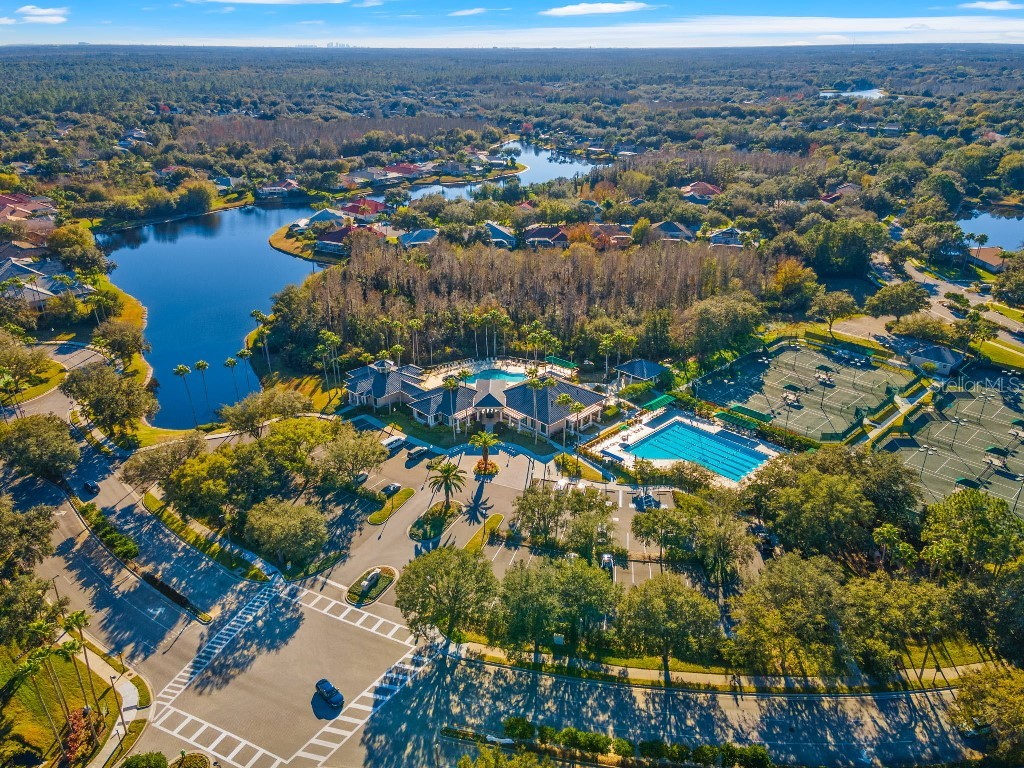 17912 Arbor Haven Drive Tampa FL 33647 TB8510759 image38