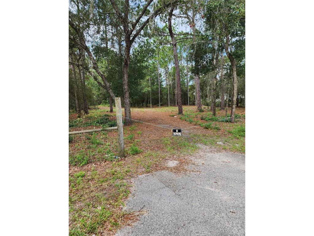 17912 Bathurst Avenue Spring Hill FL 34610 T3462570 image1