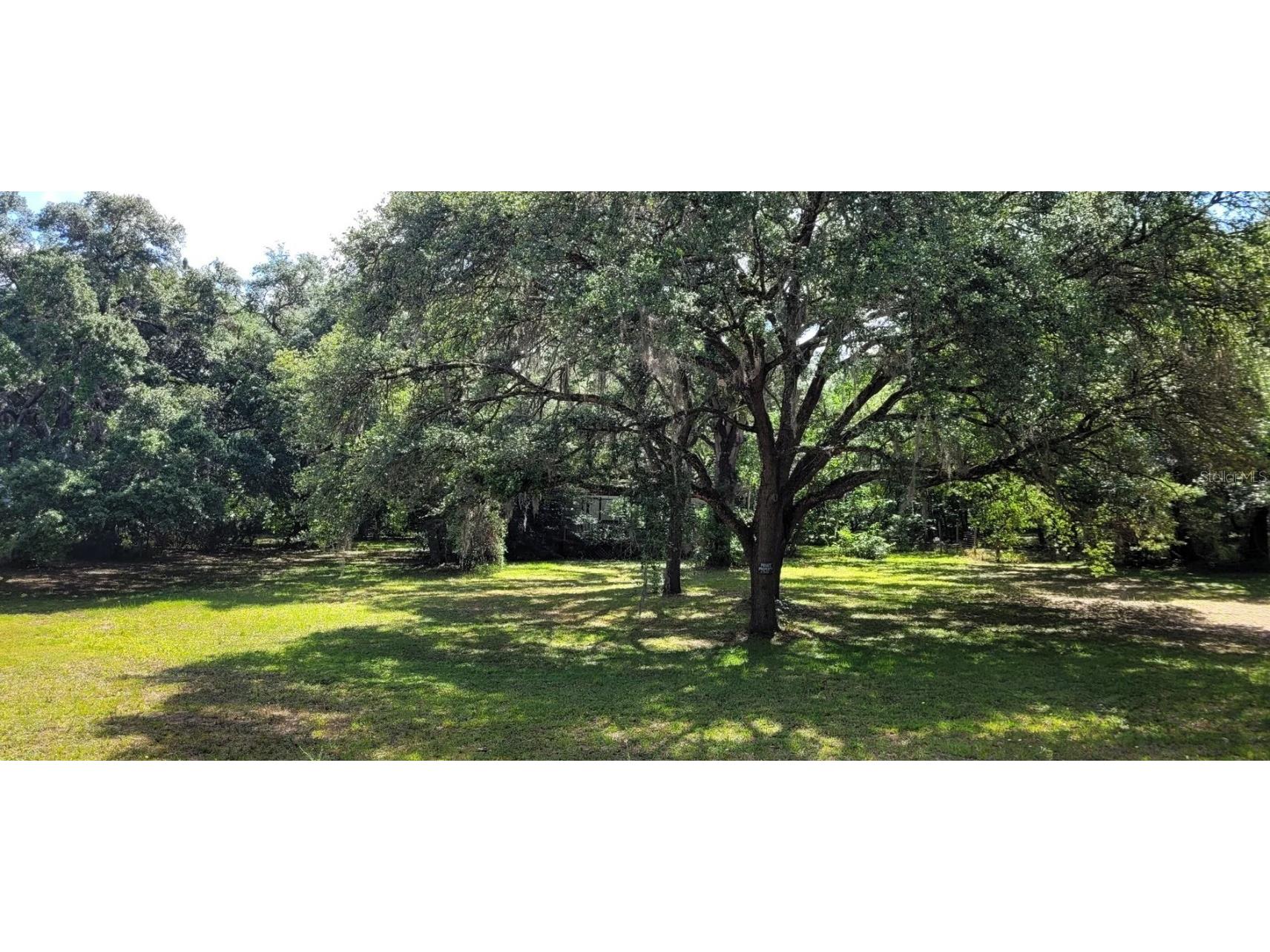 17912 Greensboro Street Spring Hill FL 34610 TB8381730 image1