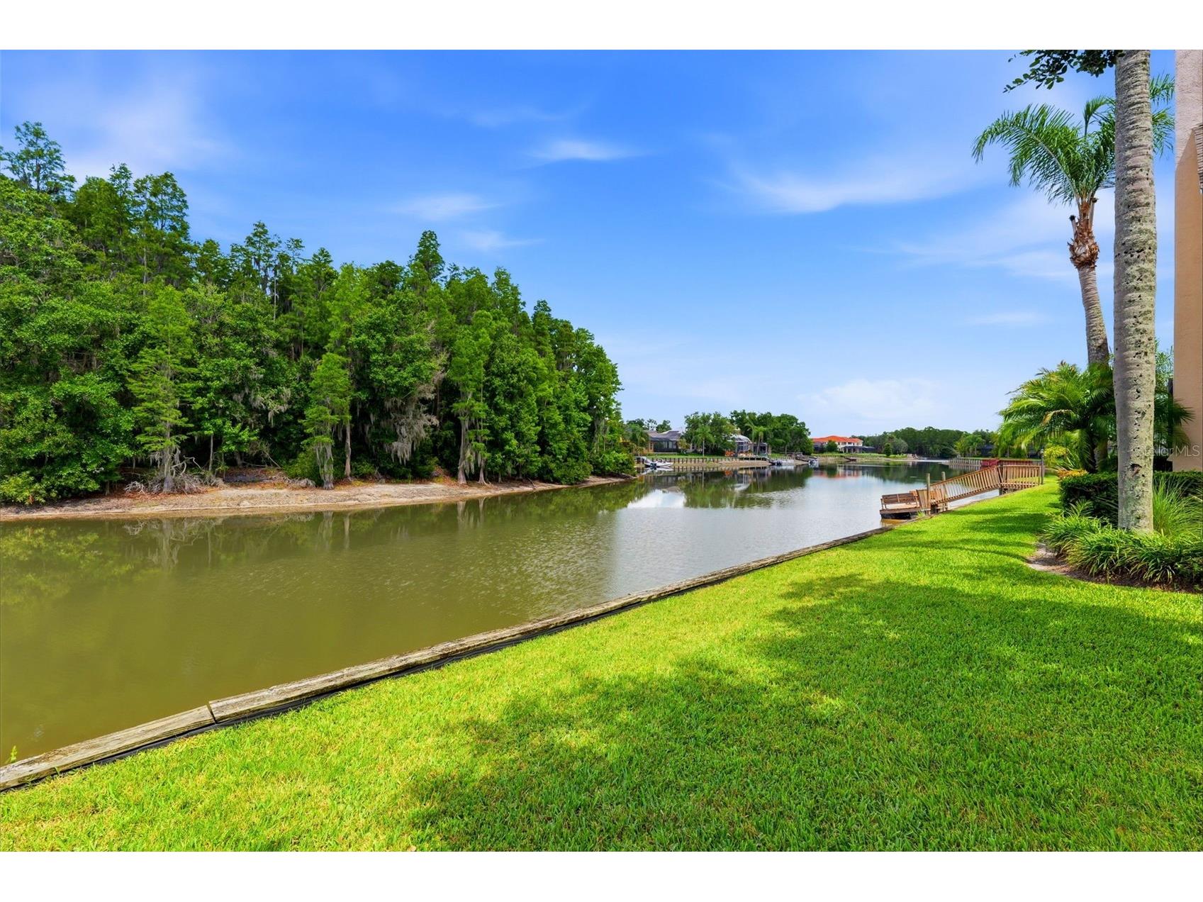 17912 Saint Croix Isle Drive Tampa FL 33647 - CORY LAKE TB8512350 image3