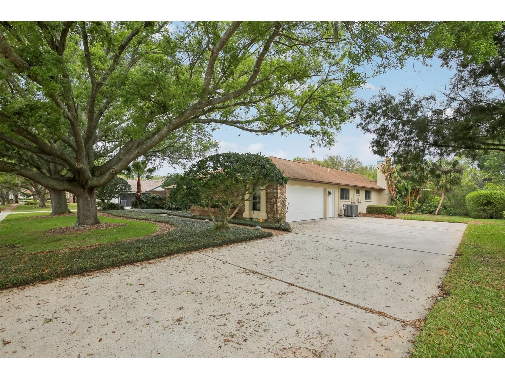 17913 Clear Lake Drive Lutz FL 33548 TB8484418 image3