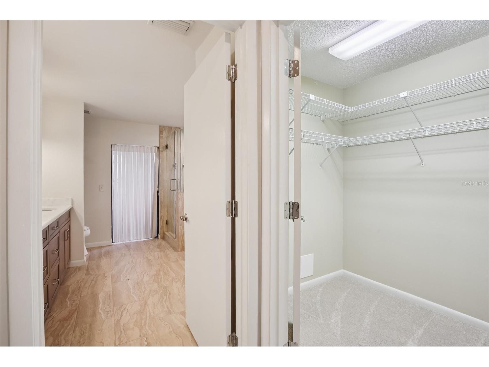 17913 Clear Lake Drive Lutz FL 33548 TB8484418 image36