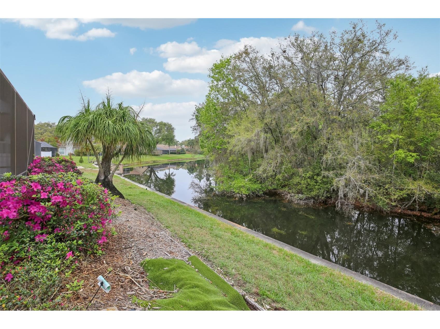 17913 Clear Lake Drive Lutz FL 33548 TB8484418 image48