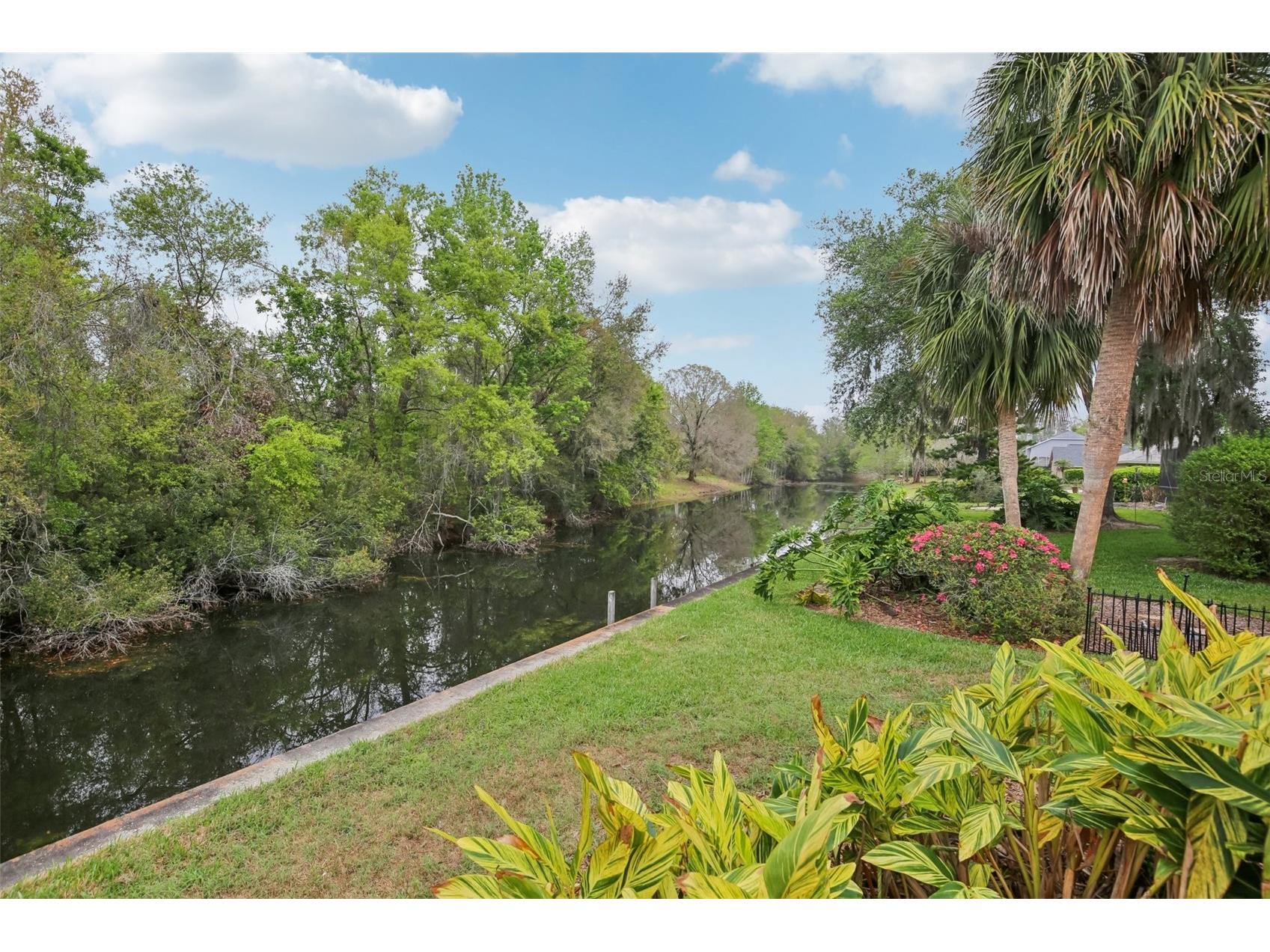 17913 Clear Lake Drive Lutz FL 33548 TB8484418 image49