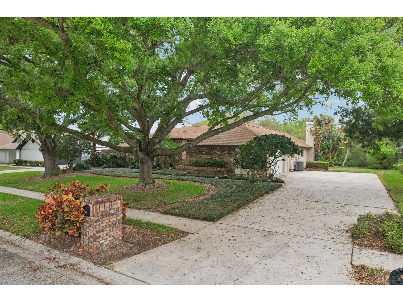 17913 Clear Lake Drive Lutz FL 33548 TB8484418 image5