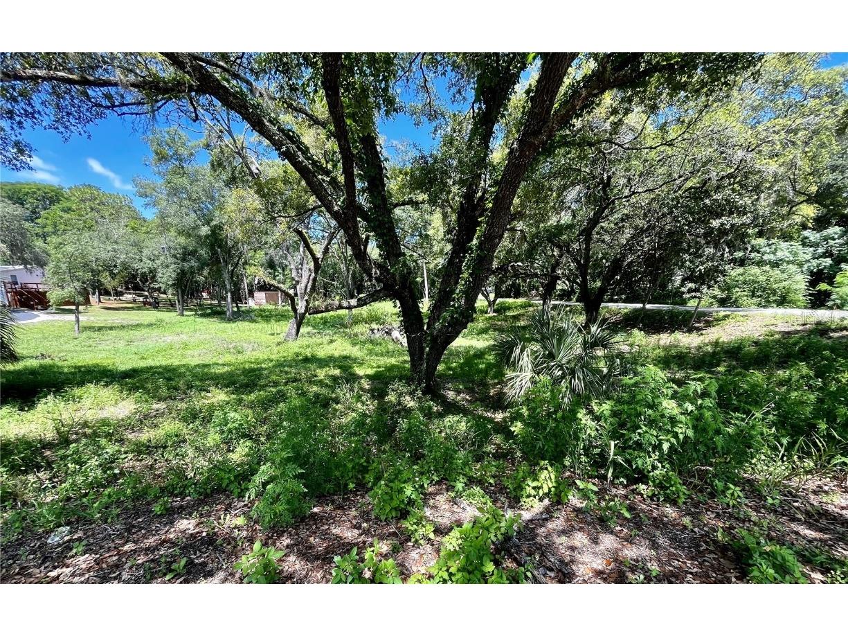 17913 Greensboro Street, Spring Hill, FL, 34610 MLS W7866204 Edina