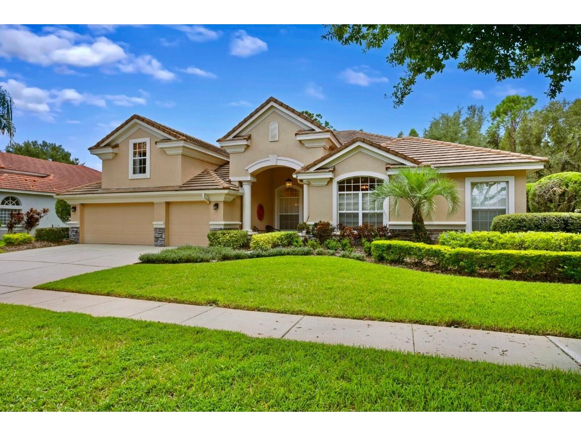 17914 Arbor Haven Drive Tampa FL 33647 T3470691 image1