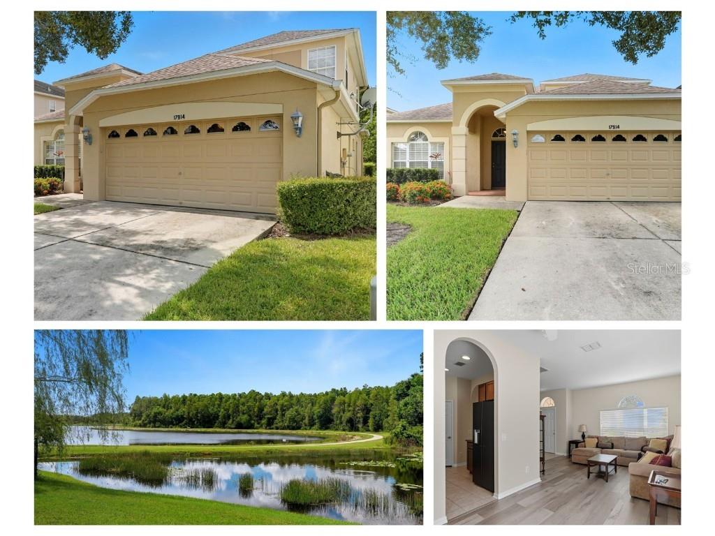 17914 Ayrshire Boulevard Land O Lakes FL 34638 TB8429005 image1
