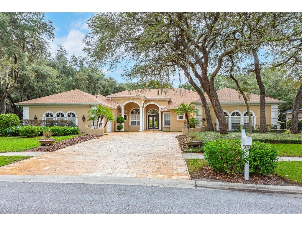 17914 Burnt Oak Lane Lithia FL 33547 TB8302814 image1