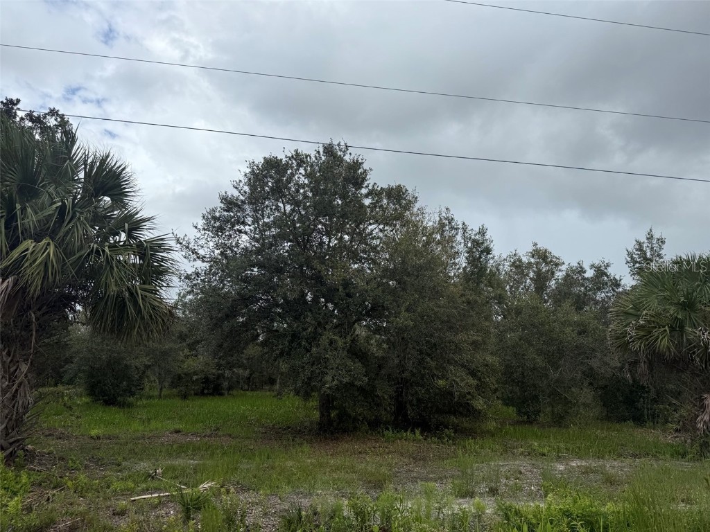 17915 NW 290th Street Okeechobee FL 34972 OK225605 image12