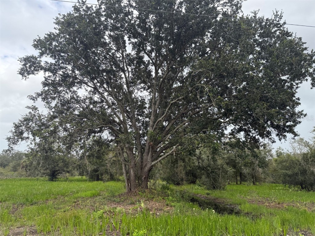 17915 NW 290th Street Okeechobee FL 34972 OK225605 image16