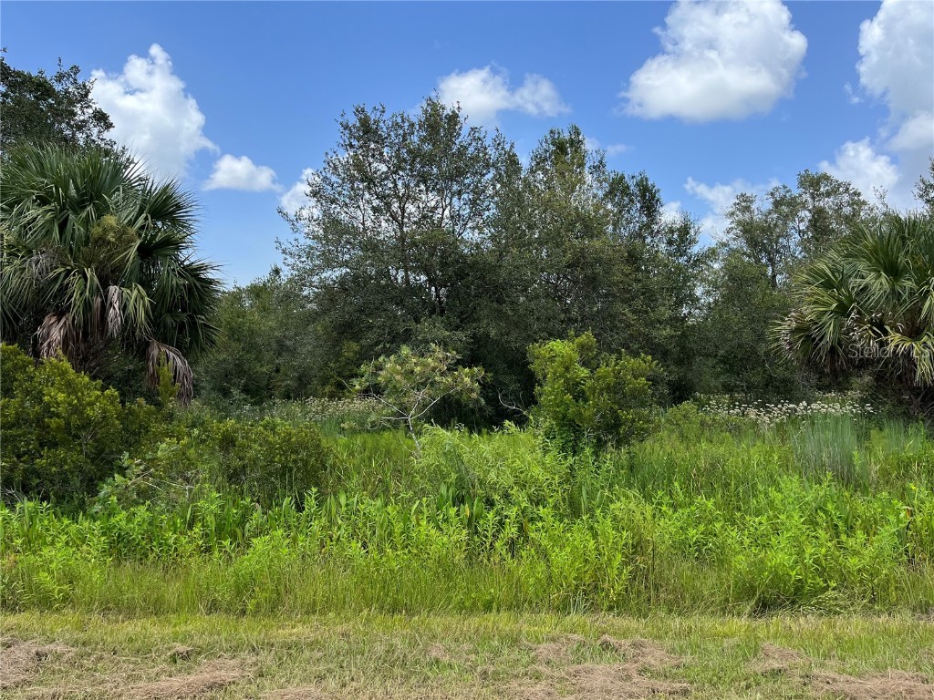 17915 NW 290th Street Okeechobee FL 34972 OK225605 image2