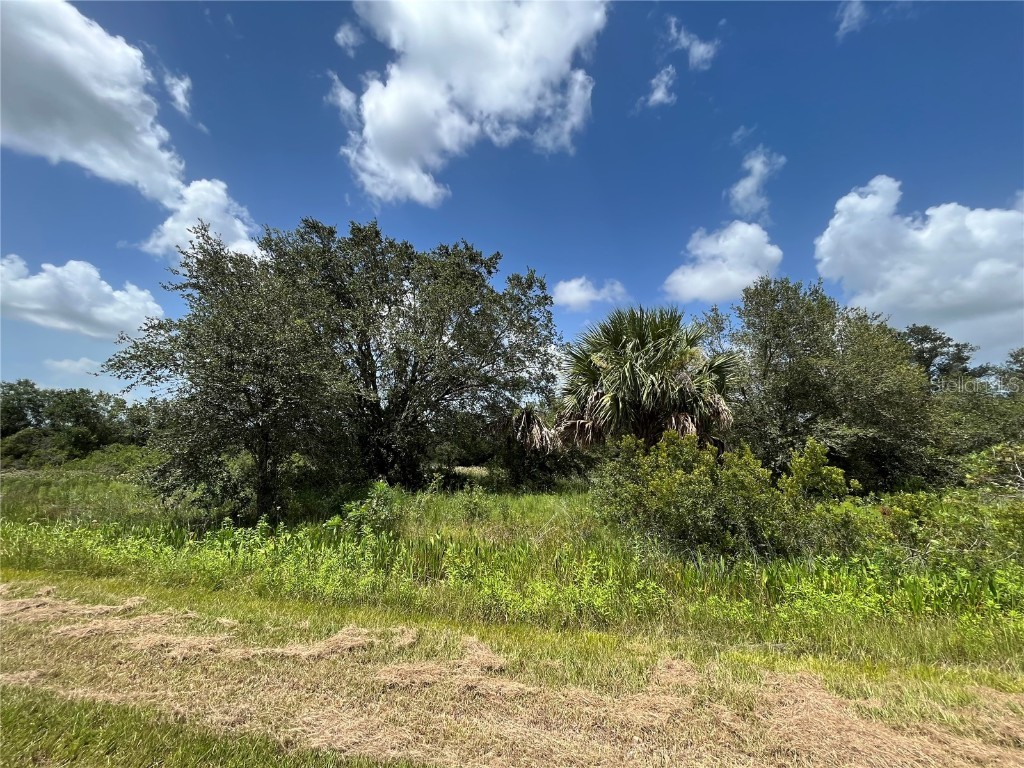 17915 NW 290th Street Okeechobee FL 34972 OK225605 image4