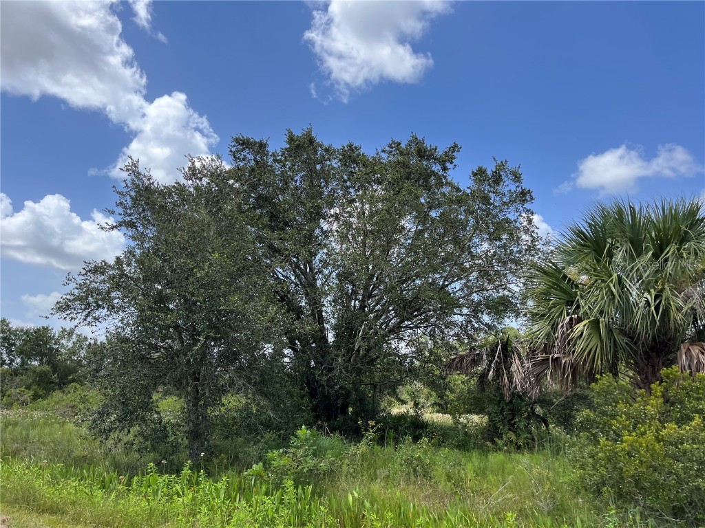 17915 NW 290th Street Okeechobee FL 34972 OK225605 image6