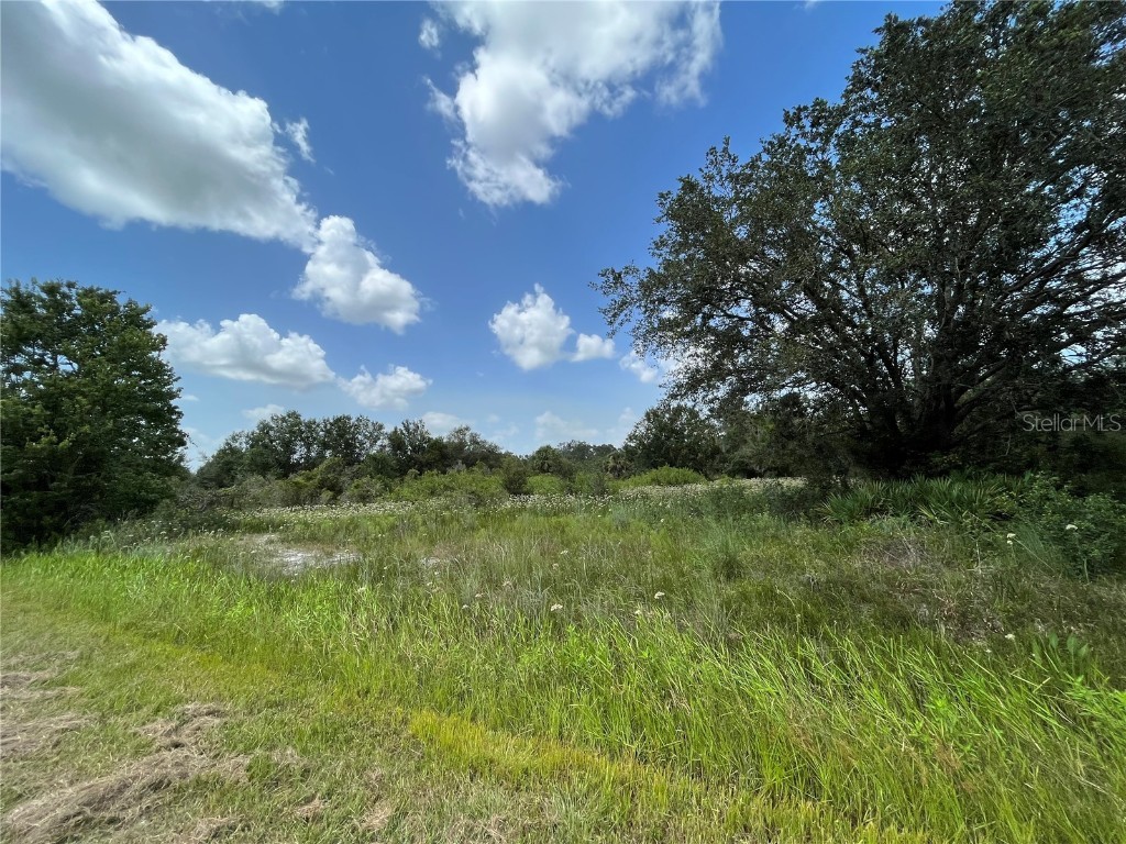 17915 NW 290th Street Okeechobee FL 34972 OK225605 image7