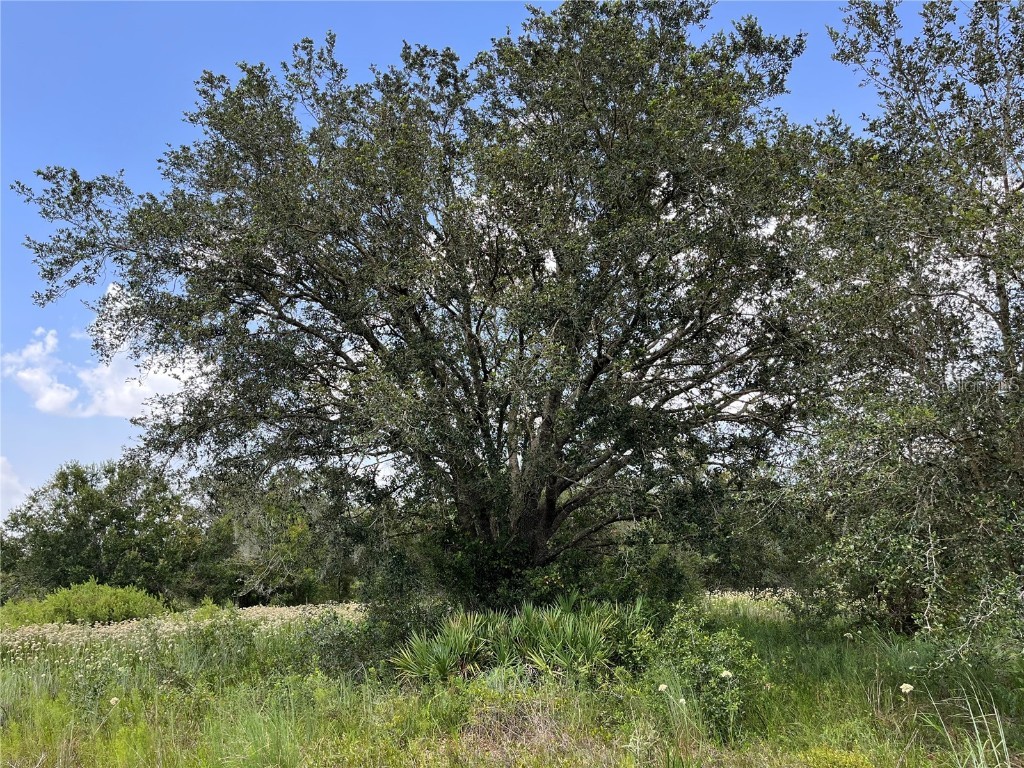 17915 NW 290th Street Okeechobee FL 34972 OK225605 image8