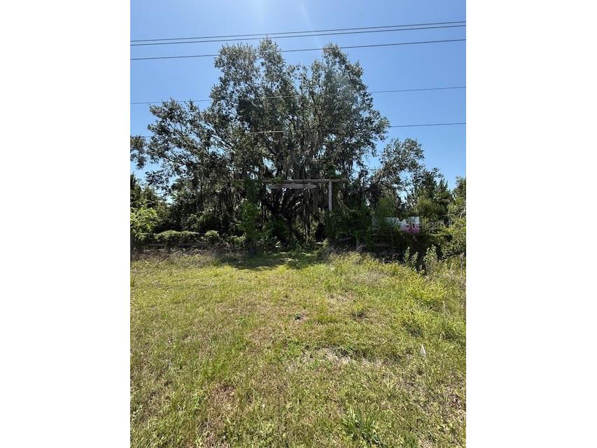 17918 NE Us Highway 301 Waldo FL 32694 FC313997 image1