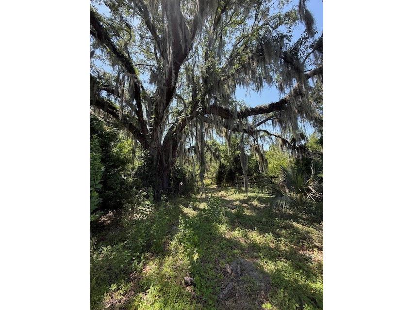 17918 NE Us Highway 301 Waldo FL 32694 FC313997 image3