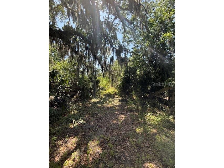 17918 NE Us Highway 301 Waldo FL 32694 FC313997 image4