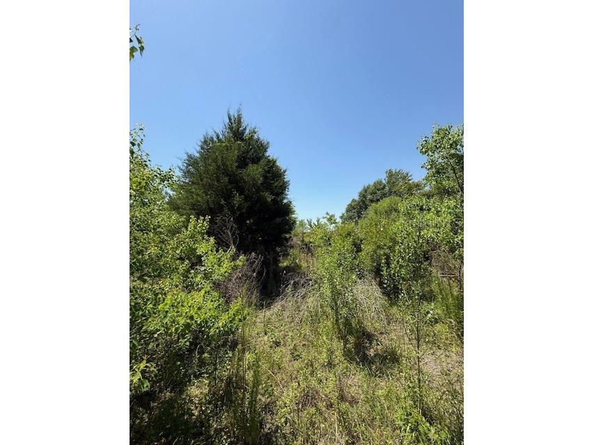 17918 NE Us Highway 301 Waldo FL 32694 FC313997 image5