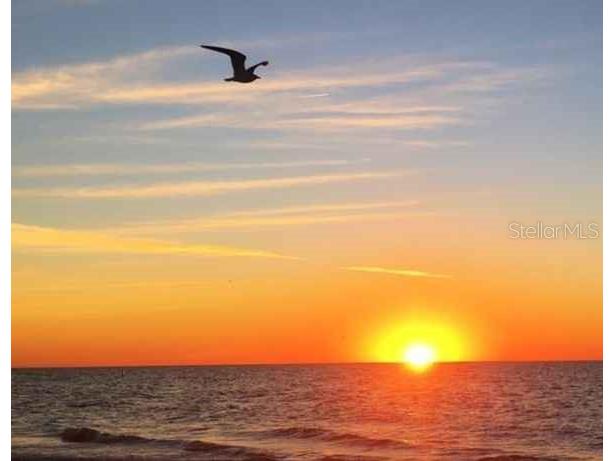 17920 Gulf Boulevard #1508 Redington Shores FL 33708 TB8461466 image11