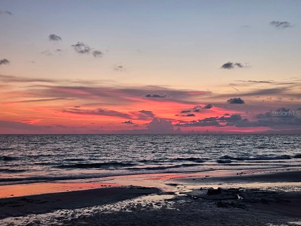 17920 Gulf Boulevard #1508 Redington Shores FL 33708 TB8461466 image16