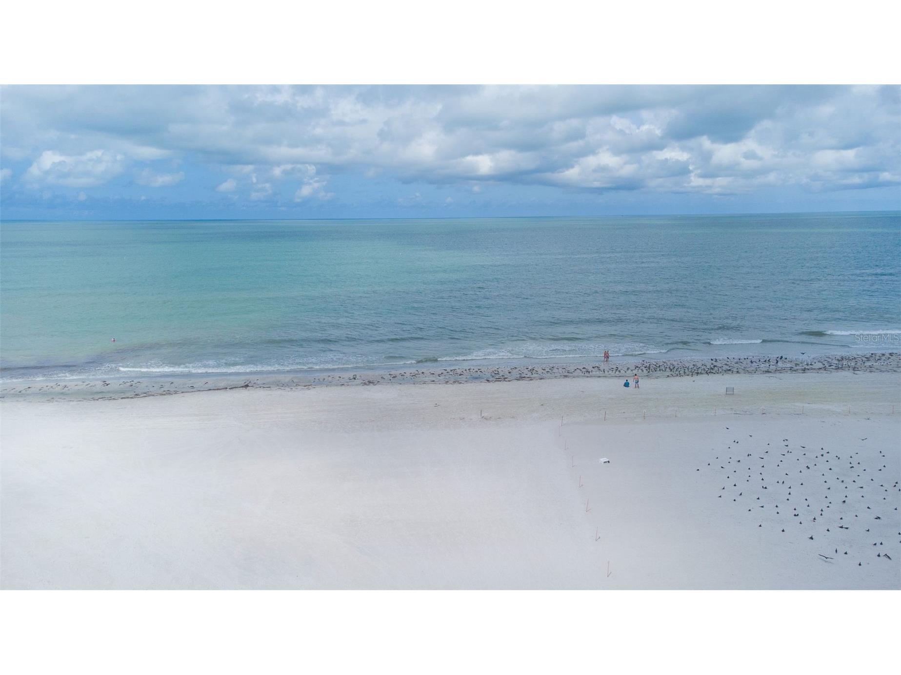 17920 Gulf Boulevard #301 Redington Shores FL 33708 - GULF OF MEXICO & INTRACOASTAL TB8516245 image38