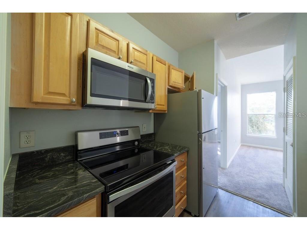 17920 Villa Creek Drive #17920 Tampa FL 33647 TB8475506 image7