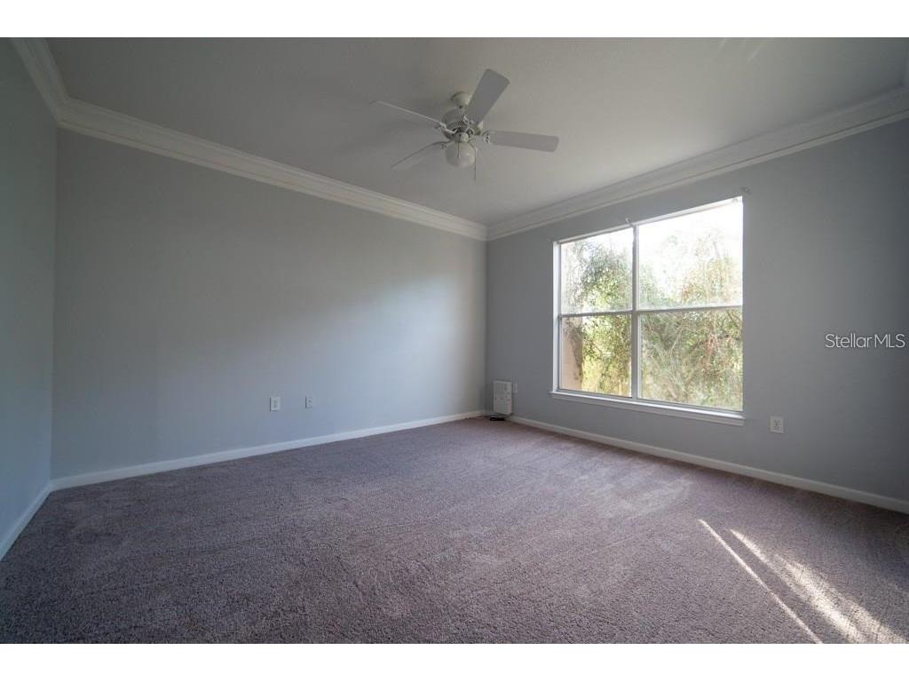 17920 Villa Creek Drive #17920 Tampa FL 33647 TB8475506 image8