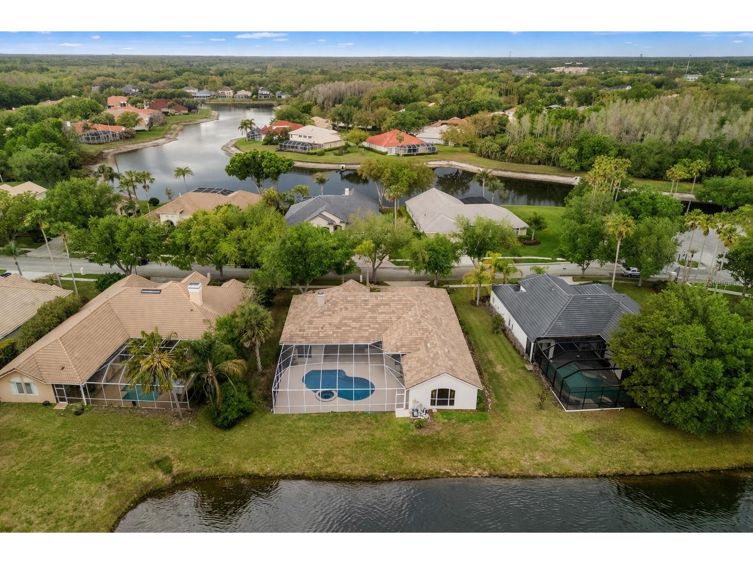 17923 Arbor Greene Drive Tampa FL 33647 TB8485942 image54