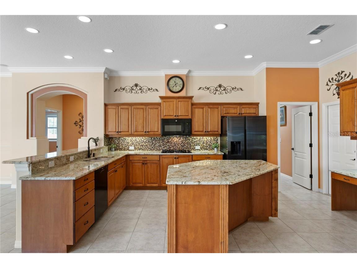 17923 Arbor Haven Drive Tampa FL 33647 TB8441327 image11