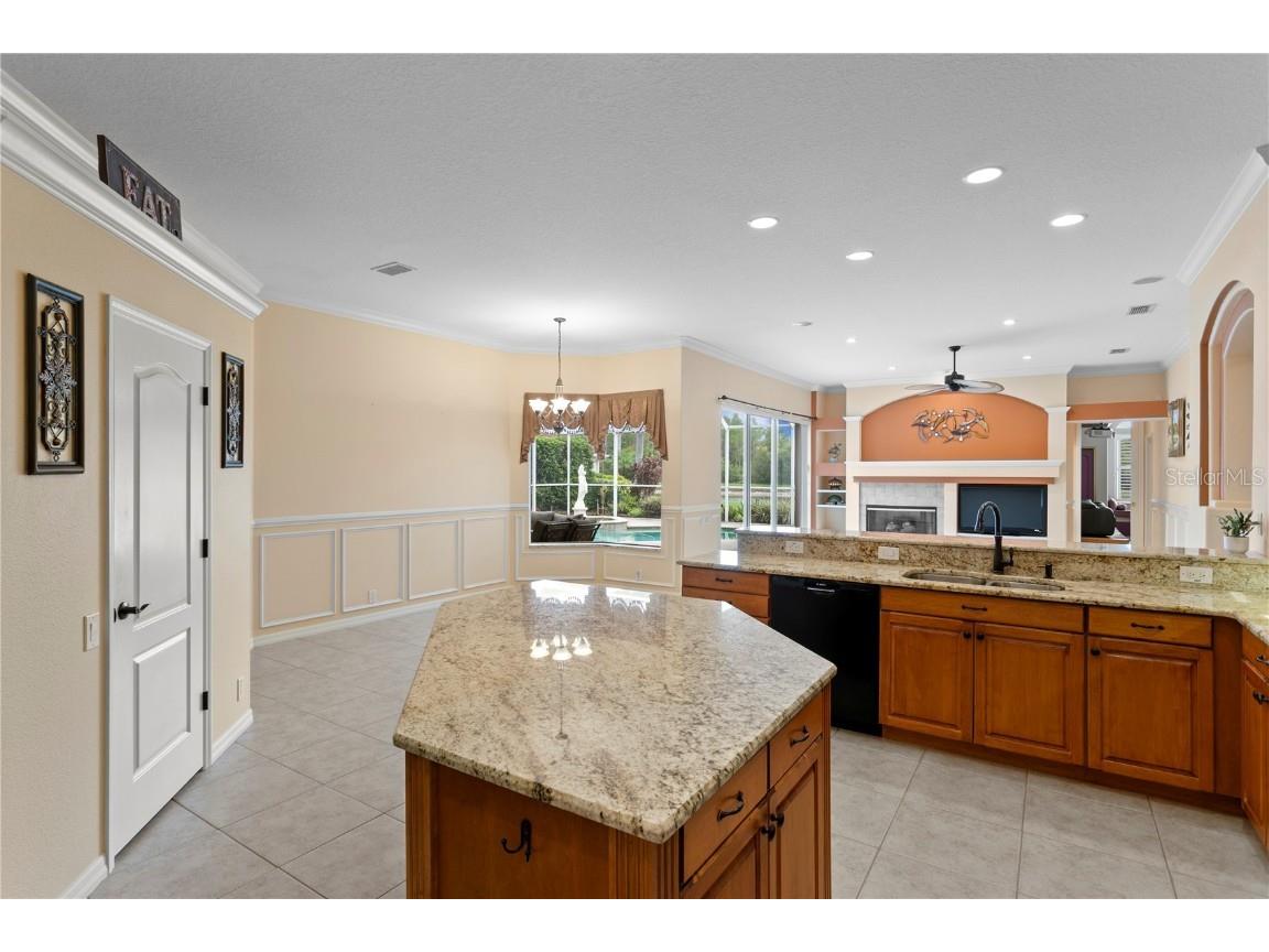 17923 Arbor Haven Drive Tampa FL 33647 TB8441327 image14